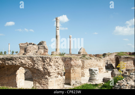 Carthage, Tunisia - Column at the Baths of Antonine Stock Photo