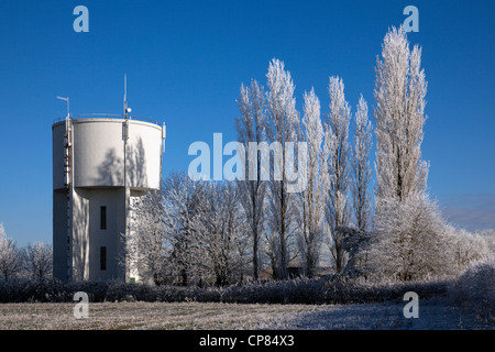 Water tower and aspen trees covered in hoar frost Cambridgeshire Stock Photo
