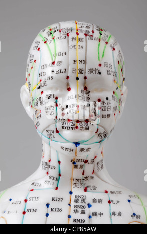 A female model with marked acupuncture points, Chinese characters on the meridians, traditional Chinese medicine; Ein weibliches Stock Photo