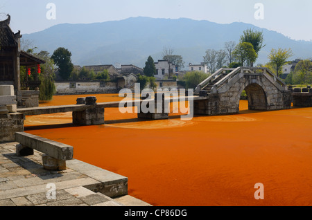 Bright red algae scum on Longxi river with stone bridge in Chengkan village Huangshan Peoples Republic of China Stock Photo