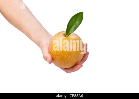 Single hand holding apple pear on white background Stock Photo