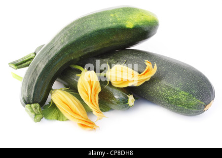 Green isolated on white vegetable marrows and flowers Stock Photo