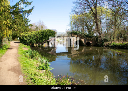 Shalford Lock on the River Wey Stock Photo - Alamy