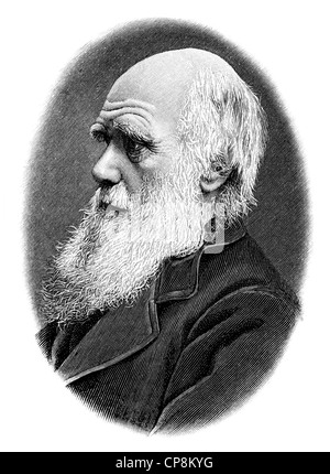 Charles Robert Darwin, 1809 - 1882, a British naturalist, evolutionary theory, Historische Zeichnung aus dem 19. Jahrhundert, Po Stock Photo