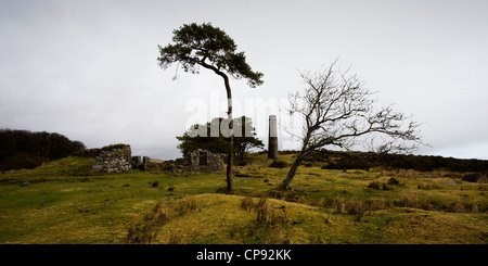 View of building remains and a chimney from the Powdermills in Dartmoor, Devon, UK Stock Photo