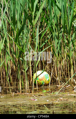 scenes of pollution in natural and disrespect to the ecology Stock Photo