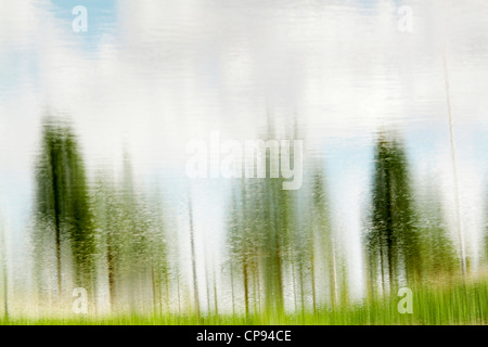paint nature scenes with the camera and the reflection of water highlighting the texture and background Stock Photo