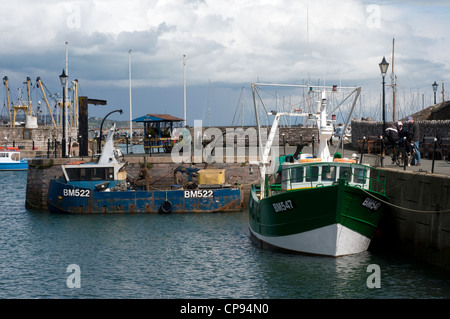 Brixham Harbour,Devon  Brixham Harbour on the south coast of England. bm 522 Stock Photo