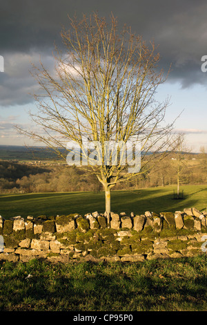 view over cotswolds landscape from saintbury gloucestershire midlands england uk Stock Photo