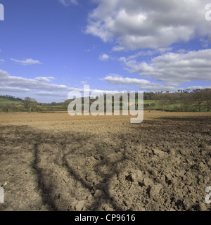 a field in the countryside in a rural environment Stock Photo