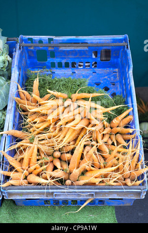Carrots for sale in blue plastic tray on a UK market stall Stock Photo