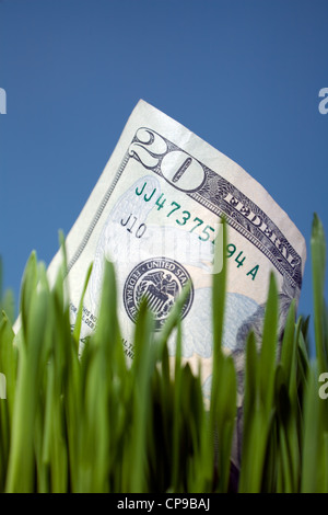 Twenty Dollar Bill Growing in Grass Stock Photo