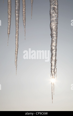 The sun shining through icicles in winter day Stock Photo