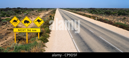 Wildlife crossing sign on Eyre Highway, South Australia Stock Photo