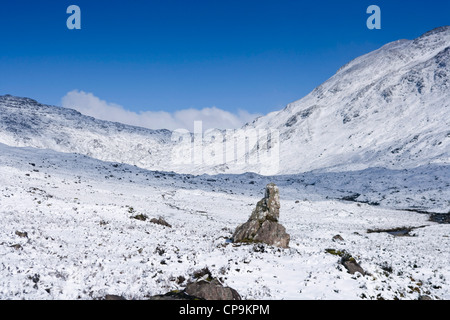 fionn nan clach stone con dogs fingal highlands scotland near alamy rm