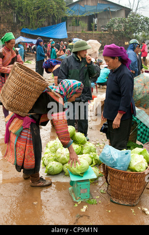 Flower Hmong women buying lettuces in Muong Khuong market North Vietnam Stock Photo