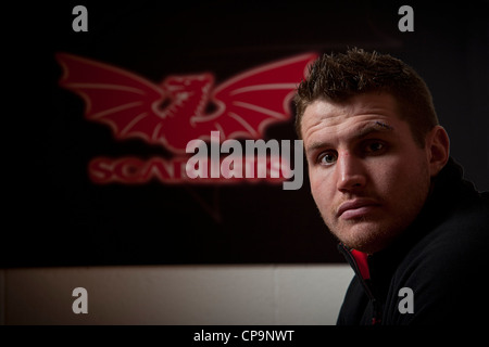Rugby Player Ben Morgan, Scarlets and England Number 8 photographed in Parc Y Scarlets Rugby Club, Llanelli, South Wales. Stock Photo