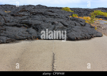 Road closed in Hawaii Volcanoes National Park, This Big Island, Hawaii. Road closed after Lava flow over the road. Stock Photo