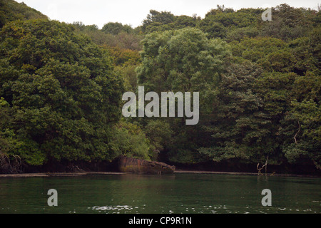 A rusting hulk in Frenchman's Creek on the Helford River - made famous by Daphne du Maurier, Cornwall, England, UK Stock Photo