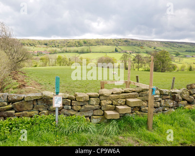 Public Footpath with a step stile over a drystone wall  in Fryup Dale in the North Yorkshire Moors National Park in  Spring