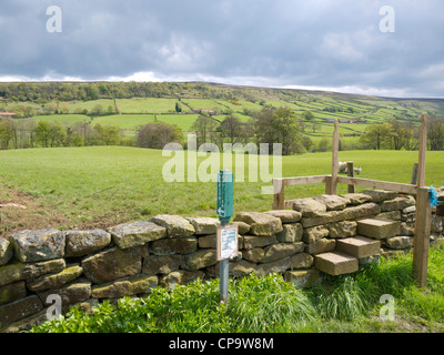 Public Footpath with a step stile over a drystone wall  in Fryup Dale in the North Yorkshire Moors National Park in  Spring
