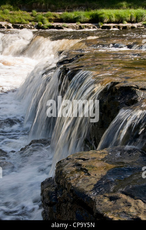 River Ure cascading & flowing over stepped limestone rocks at Lower Falls, Aysgarth in scenic Yorkshire Dales countryside - Wensleydale, England, UK. Stock Photo