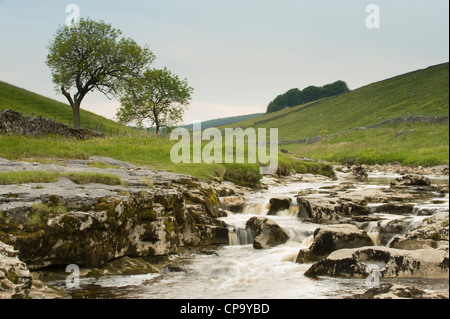 River Wharfe, flowing through quiet scenic narrow v-shaped valley, cascading over limestone rocks - Langstrothdale, Yorkshire Dales, England, UK. Stock Photo