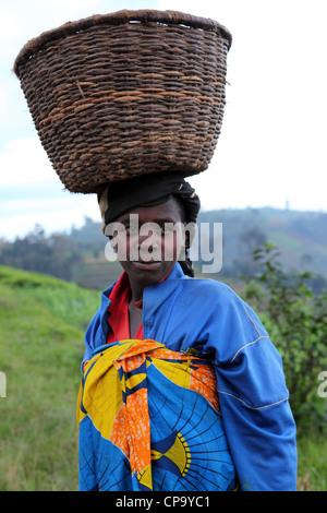 Rwandese woman carrying a basket on her head in the Western Province of ...