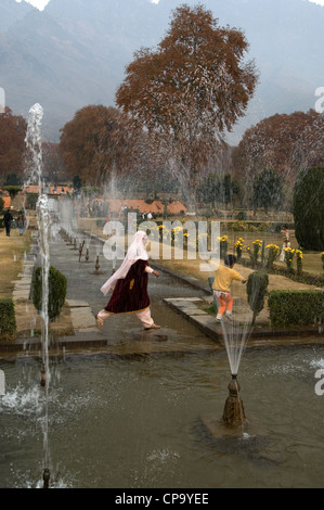 Nishat Bagh Gardens, Dal Lake, Srinagar, Kashmir, India Stock Photo