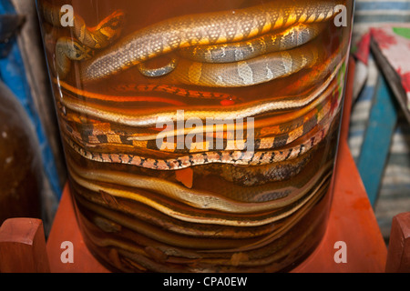 Snakes in a large jar of snake wine, Cuu Long, Cai Be, Mekong Delta, Vietnam Stock Photo