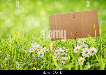 blank billboard on meadow with daisy flower Stock Photo