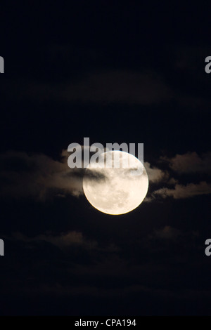 Perigree full moon, or supermoon, rises over Salida, Colorado, USA. Moon is closer to earth in orbit than normal. Stock Photo