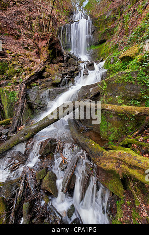 Cleddon Falls, Llandogo Stock Photo