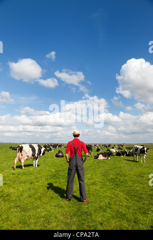 Typical Dutch landscape with farmer and black and white cows in the ...
