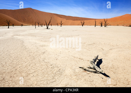 View at dead trees in Sossusvlei, Namibia. Stock Photo