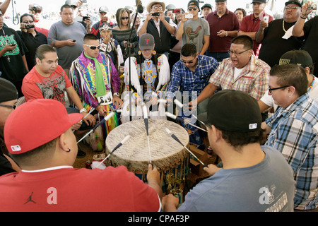 USA, Arizona, Scottsdale. Drummers of the Northern Cree drum group performing at the Red Mountain Eagle powwow Stock Photo