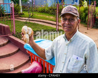 A 50-60 year old Cuban Hispanic bread vendor holds three freshly baked rolls in his hand as he delivers them in Viñales, Cuba. Stock Photo