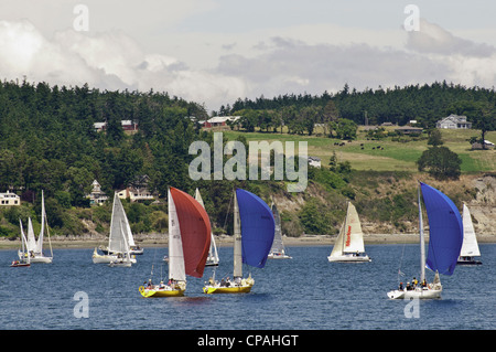 US, WA, Whidbey Island, Coupeville. Annual Whidbey Island Race Week in July hosting 11 racing classes. Stock Photo