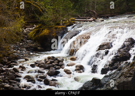 Partial view of the Englishman River Falls near Parksville on Vancouver Island, Canada Stock Photo