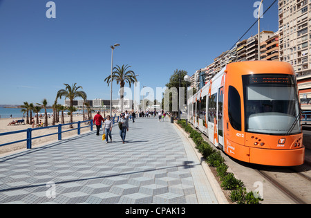 Promenade in Alicante, Catalonia Spain Stock Photo