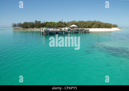 Heron Island, a coral island in Queensland's southern Great Barrier Reef, is a nature paradise,shared by science and holidayers Stock Photo