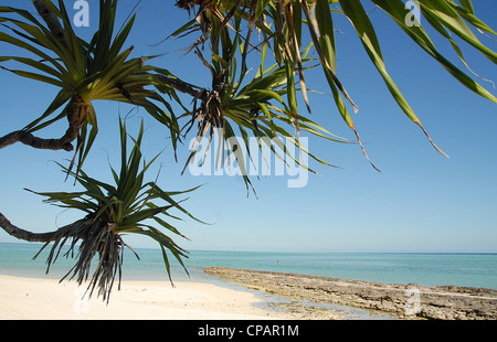 Heron Island at the Great Barrier Reef of Queensland is an unspoilt nature paradise in Australia Stock Photo