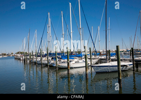 Davis island Yacht Club, Tampa Florida Stock Photo