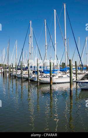 Davis island Yacht Club, Tampa Florida Stock Photo