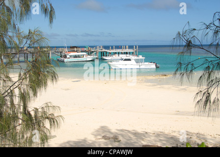 Heron Island in the southern Great Barrier Reef is a nature paradise shared by science and vacationers Stock Photo