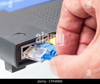 Macro shot of plugs on cat5e cables of many colors isolated against white background being plugged into router Stock Photo