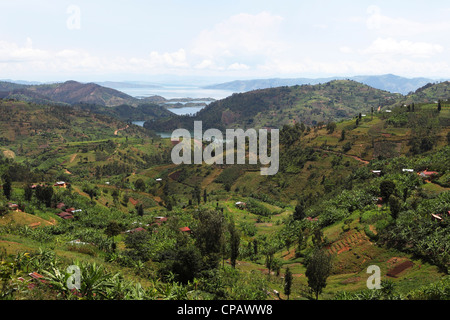 Farmland by Lake Kivu in the Western Province of Rwanda. Stock Photo