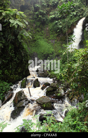 waterfall in Nyungwe forest National Park, Rwanda Stock Photo - Alamy