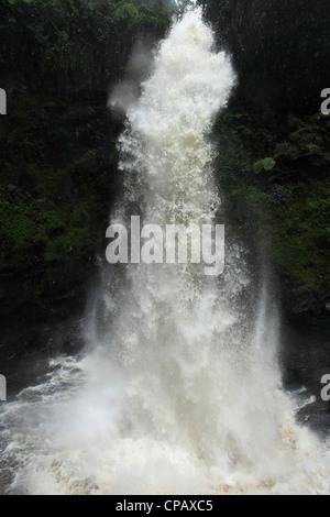 Kamarinzovu Waterfall in Nyungwe National Park, Rwanda Stock Photo - Alamy