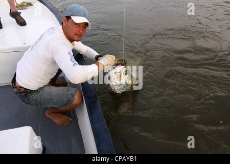 A Nicaraguan guide holds a big Rio San Juan tarpon prior to release near the town of Sabalos. Stock Photo